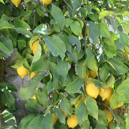 アパート Ca' Dei Cedri In Marciaga *