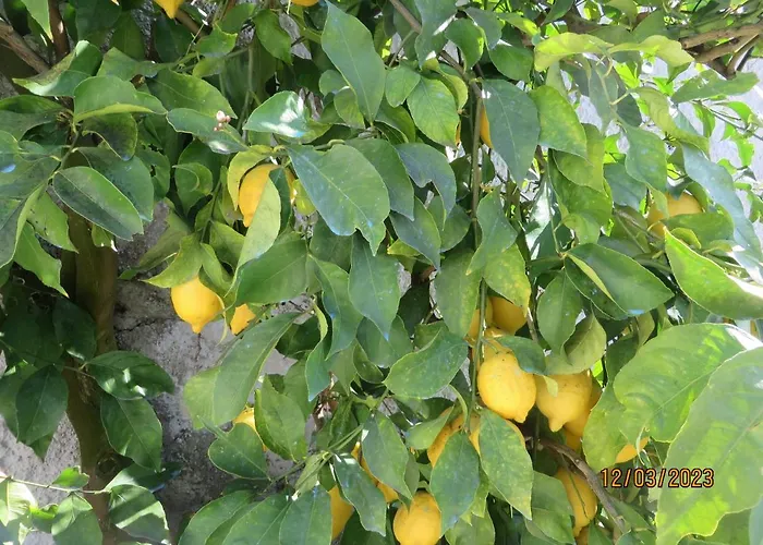 アパート Ca' Dei Cedri In Marciaga *